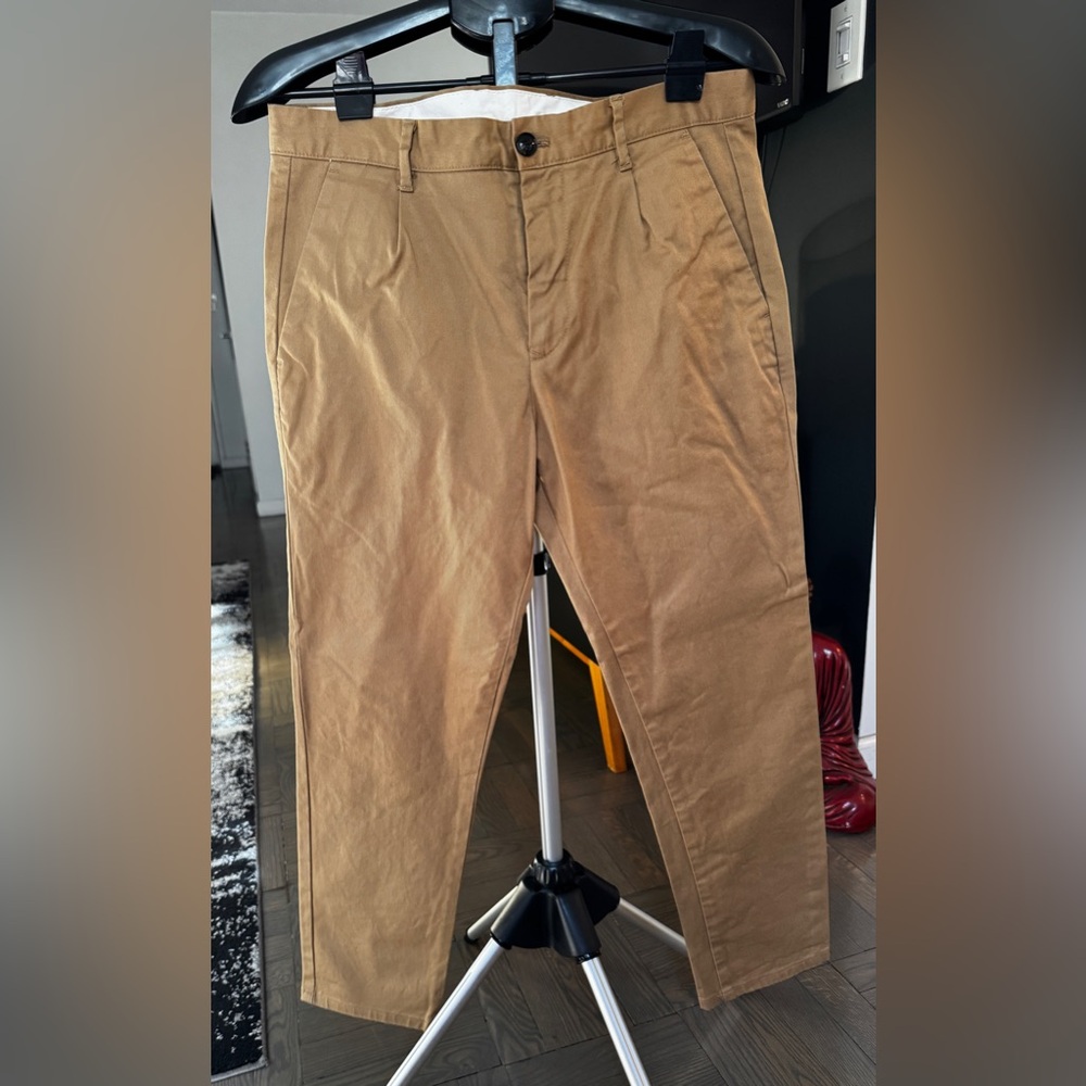 Zara Golden Tan Dress Pant in Size 32